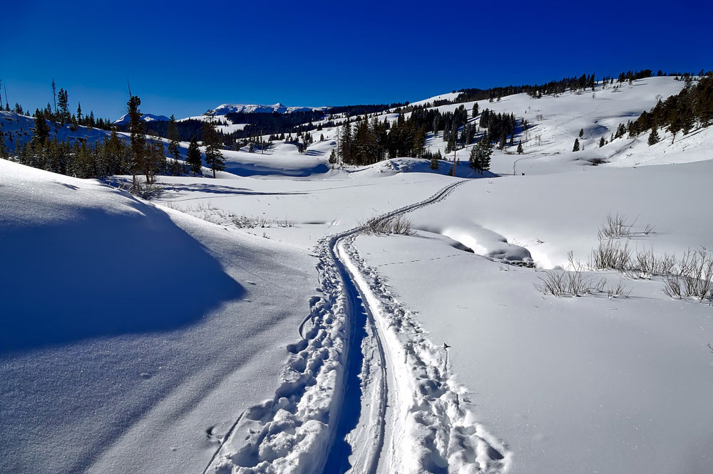 Cross Country Ski Trail in Snowy Valley in Utah