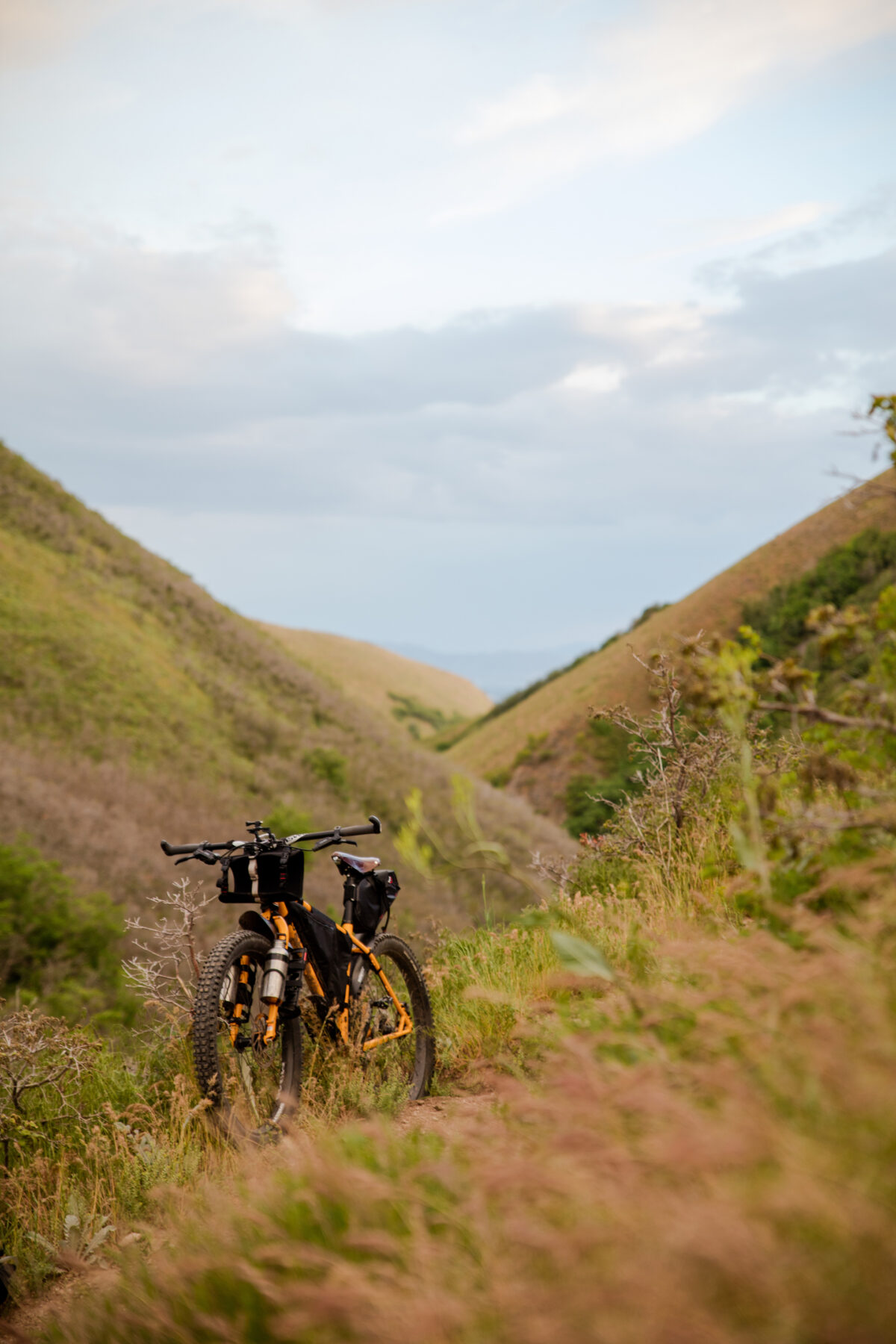 mountain bike on grassy trail in the hills