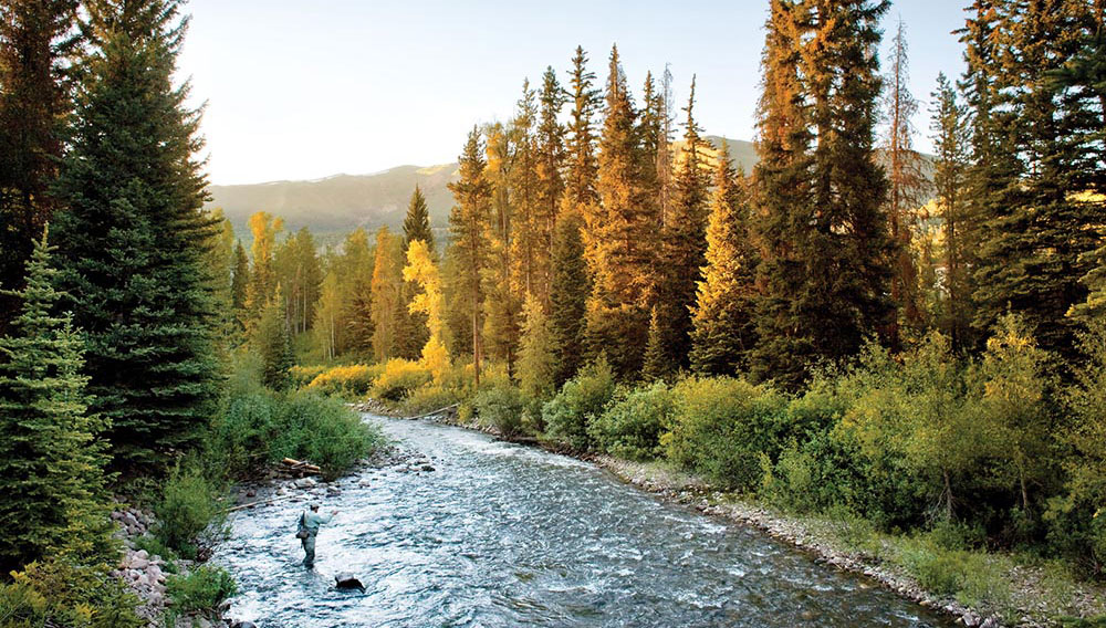 River with Fly Fisherman in the Stream