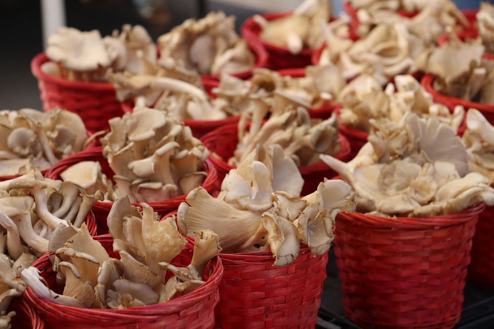 Mushrooms at Farmers Market Booth