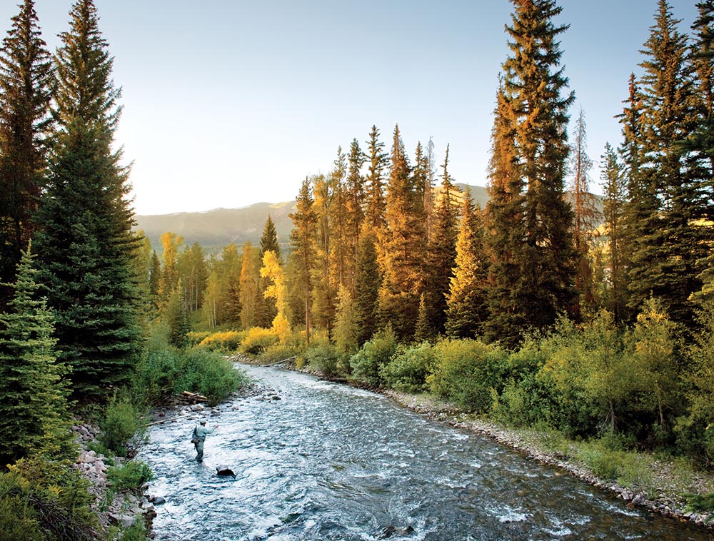 River with Fly Fisherman in the Stream