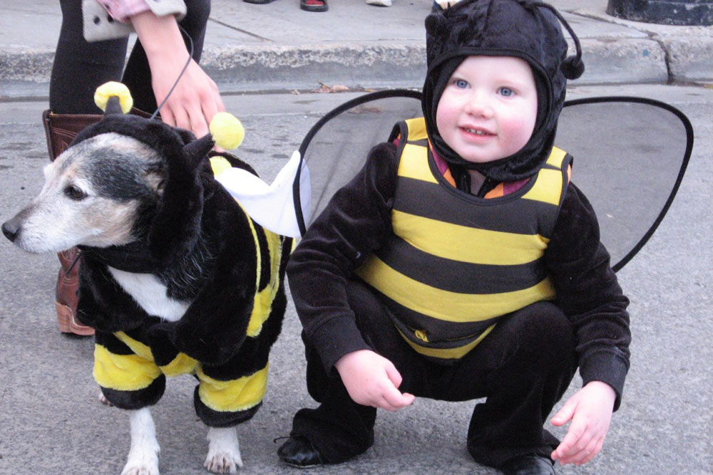 Child and Dog Dressed at Bumble Bees for Halloween