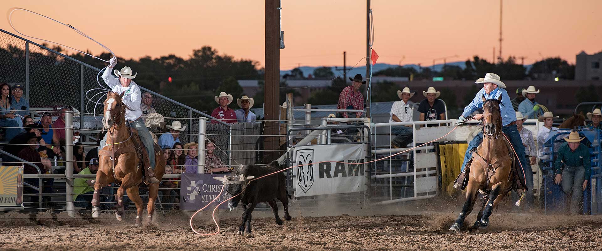 Cattle roping at the Rodeo de Santa Fe