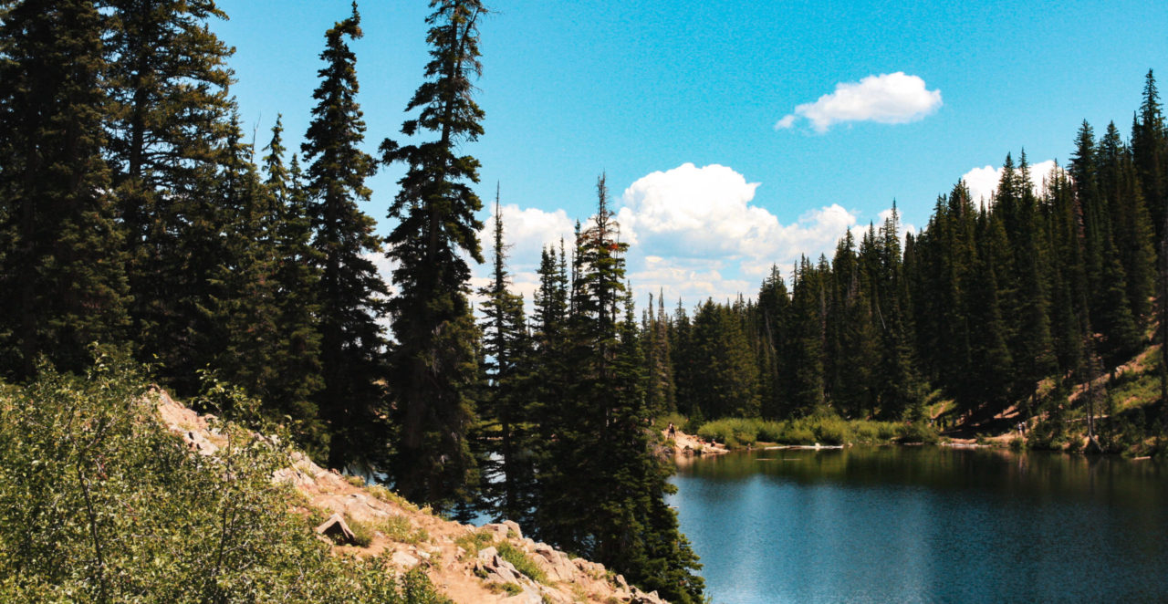 The Tree-Lined Bloods Lake in Park City During Summer