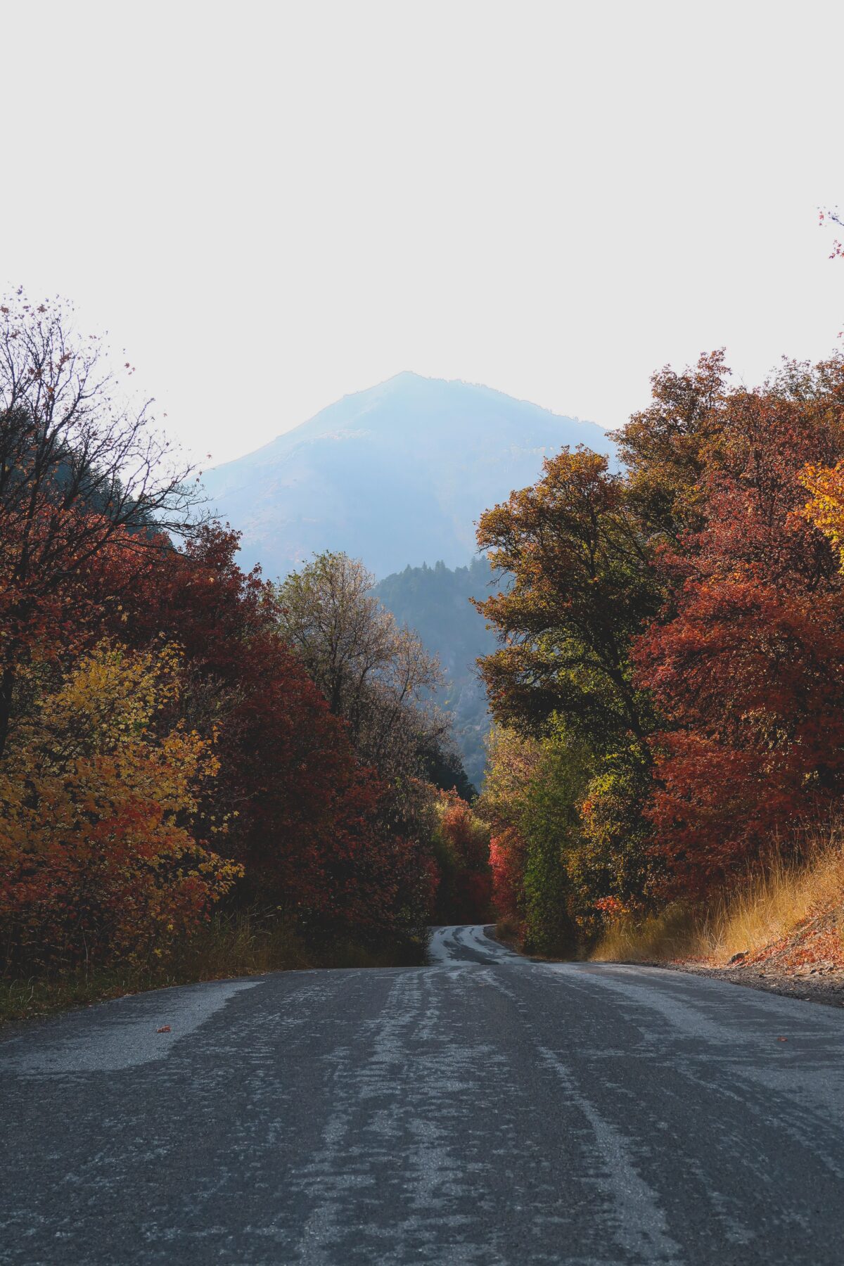 Scenic Drive leaves changing Fall in park city utah