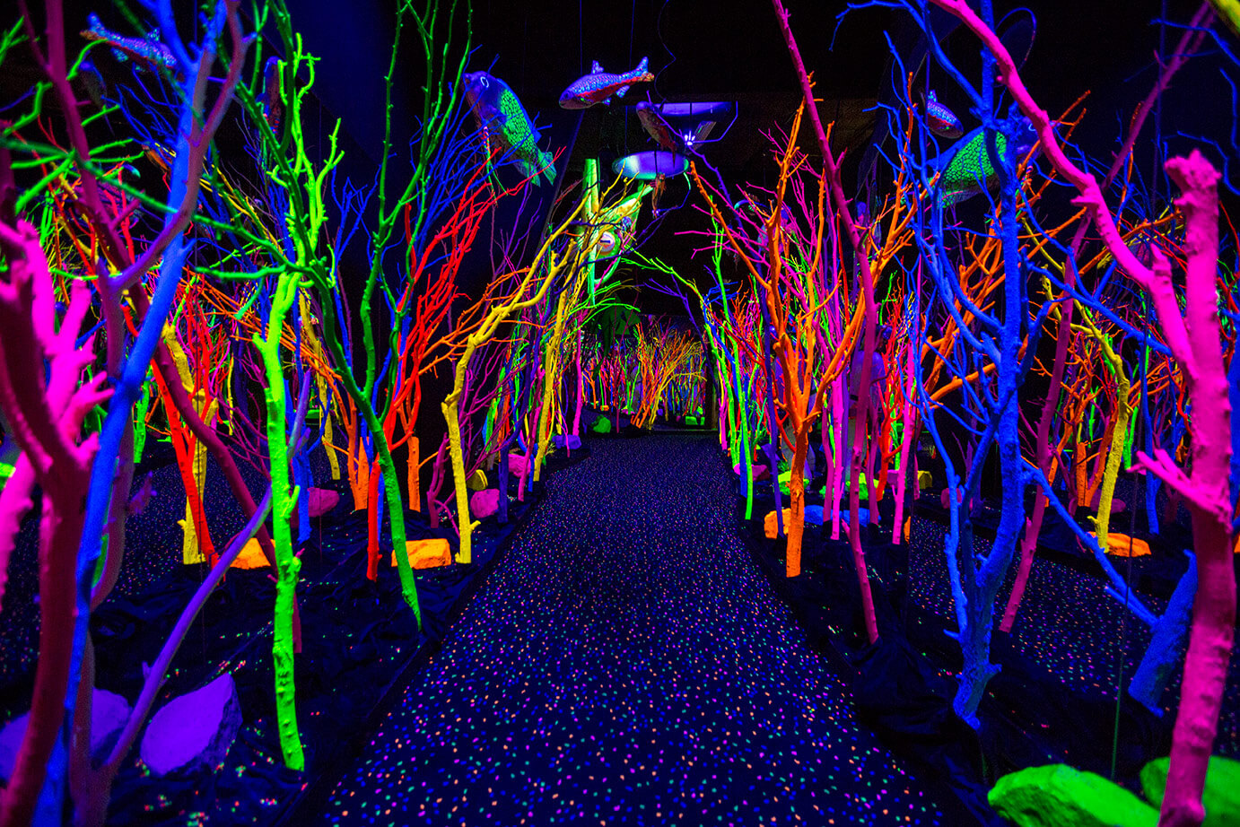 Neon Path at Meow Wolf