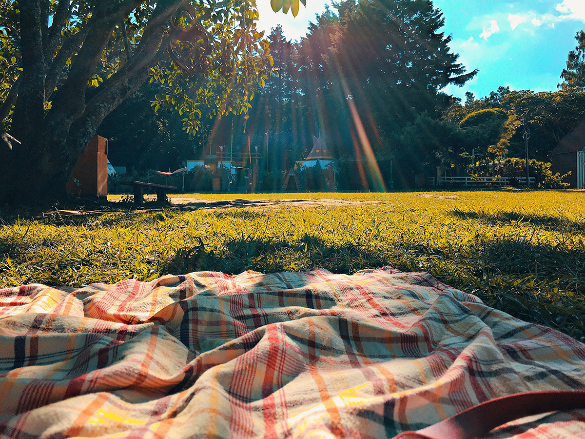 sunlit-picnic-on-green-grass A Sunlit Picnic on the Grass in Park City