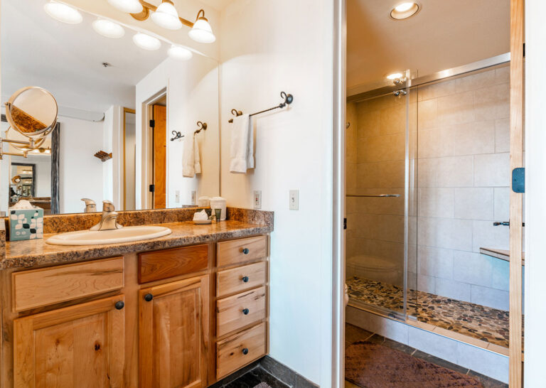 bathroom vanity with a stand up shower