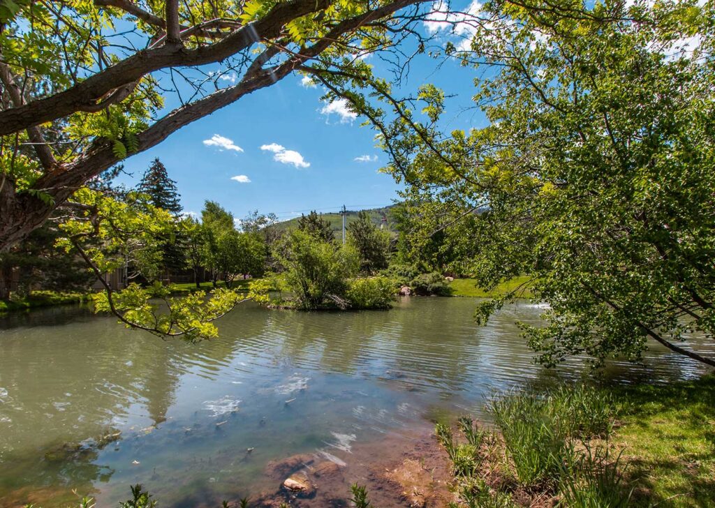 Pond and Outdoor Landscaping at Hidden Creek Condominiums in Park City, Utah