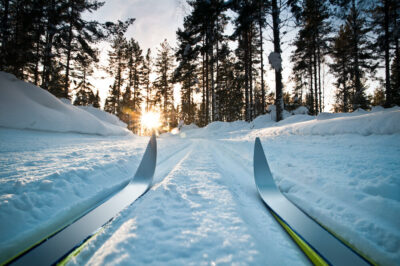 classic ski track facing sunrise, sunset nordic skiing