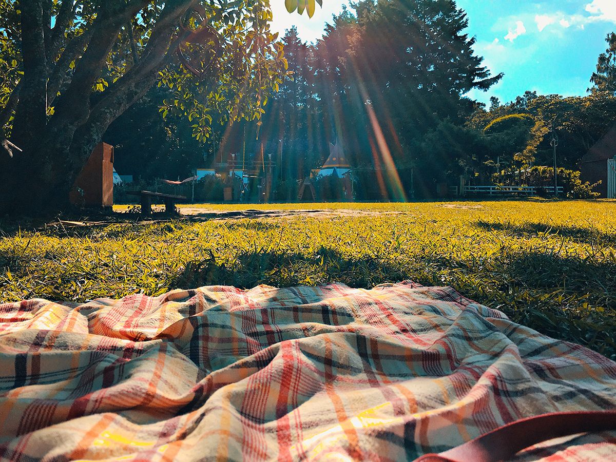 A Sunlit Picnic on the Grass in Park City