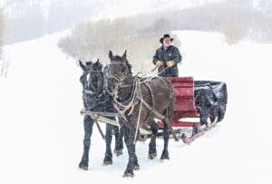 Snowed Inn Horse Drawn Sleigh