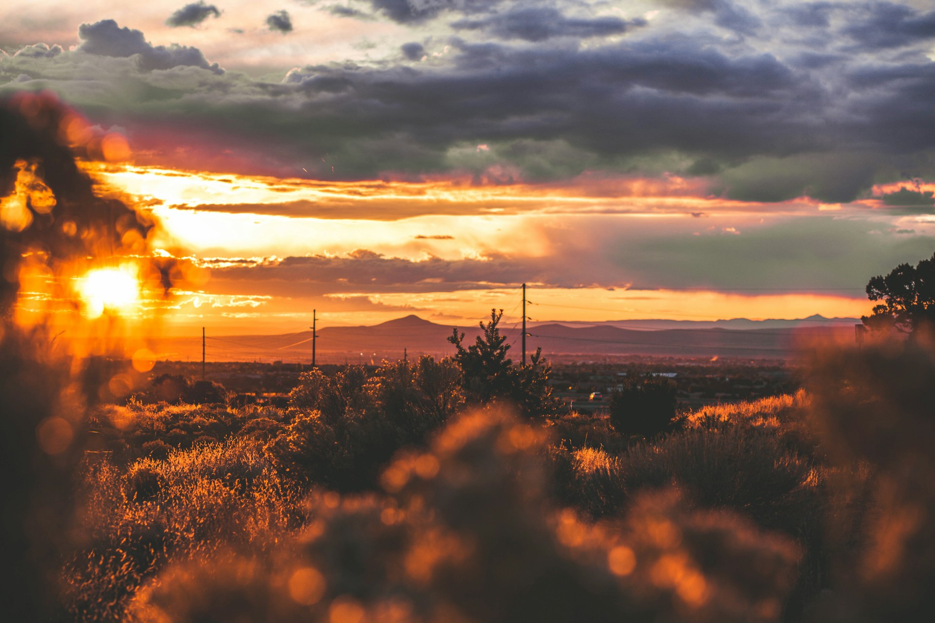 Desert at sunset