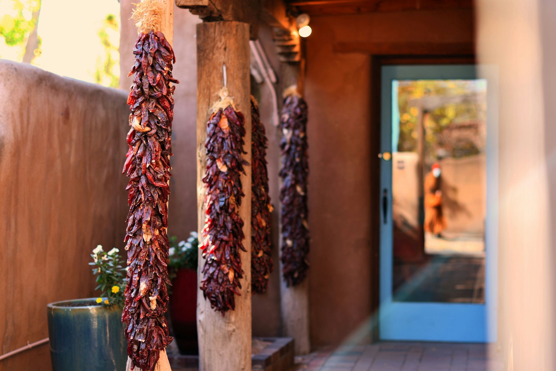 Dried red chiles hanging