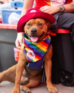 Espanola Humane at Santa Fe Pride Parade