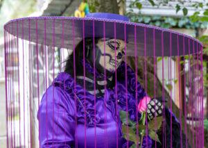 Dia de los muertos Santa Fe